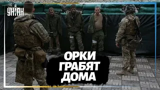 Российские мародеры грабят дома в Украине