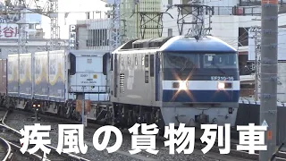 【貨物列車】名古屋と浜松で大迫力の貨物列車　モーター音もジョイント音も今日も最高　疾風の貨物列車　全33本　Freight train of great power