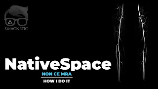 MR NativeSpace – “HOW I DO IT”