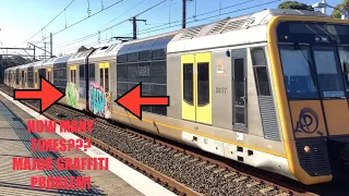 Sydney Train Graffiti, WHATS HAPPENING??? (Local Sydney Train News 📰 2024) #trains