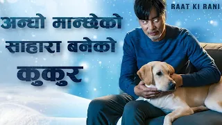Story of Dog and his Blind Master ........ Movie Explained in Nepali Raat ki Rani