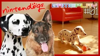 Nintendogs (Dalmatian & Friends): Ep. 01 [ITA]