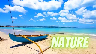 Beauty Of Indonesia Bali 8K 60FPS UHD | Natural Video