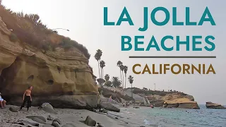 Visiting 3 La Jolla Beaches in a Day with Kids | San Diego, California