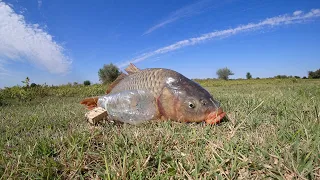 БУТЫЛКА, ПОПЛАВОК, НОЧНАЯ РЫБАЛКА. Ловля сазана на бутылку с каяка. Рыбалка на поплавок с ночевой.