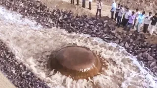 What They Discovered in Asia Shocked the Whole World
