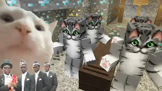 Coffin Meme Among Us - Cat Vibing in Minecraft