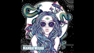 Chapeleiro - Mamba Negra (Original Mix)_HD