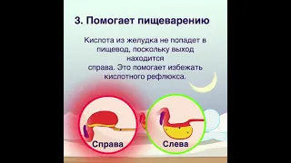 На каком боку желательно  спать, чтобы не было изжоги?