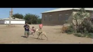 Village in Turkmenistan. Туркменистан.деревня возле Байрам-Али.avi