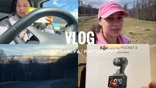 21; АЛТАЙ // Последние дни с сестрой | Распаковки | новая камера  / VLOG