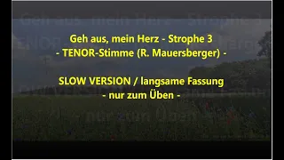 Geh aus, mein Herz - Tenor - SLOW