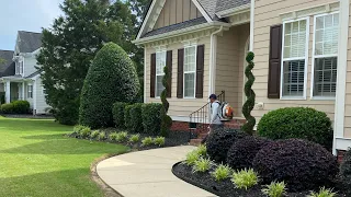 Pruning plants