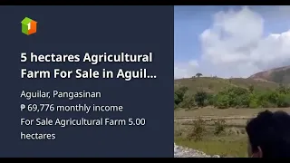 5 hectares Agricultural Farm For Sale in Aguilar Pangasinan