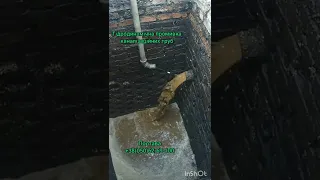 Гидродинамическая прочистка канализации Полтава