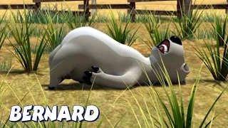 Bernard Bear | 🌱Bernard Cutting the Grass AND MORE🌱 | Cartoons for Children | Full Episodes