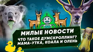 Хорошие новости от нейросети. Подборка милоты и позитива