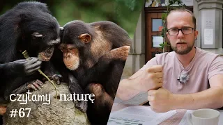 Czytamy naturę #67 | Bardzo kulturalne szympansy - Plastikowy deszcz - Mapa antyszczepionkowców