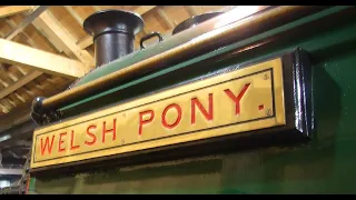 RD21803a(vid).  WELSH PONY Lives!