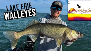 Catching BIG Lake Erie Walleyes Trolling DEEP Diving Crankbaits