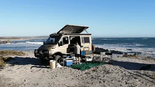 West Coast camping with our dogs