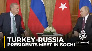 Russia and Turkey presidents meet to discuss Ukraine grain deal