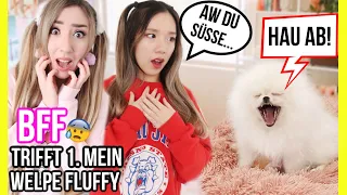 BFF trifft & sieht das 1 MAL mein BABY WELPE FLUFFY zu HAUS **GEHT wirklich alles SCHIEF**