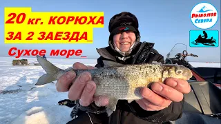 ✅20 КГ КОРЮХА ЗА 2 ЗАХОДА😃🎣🐟 l СУХОЕ МОРЕ I СЮРПРИЗ ВНУТРИ🎁 #рыболов_севера #рыбалка2024#корюшка