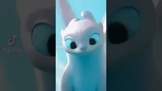 Дневная Фурия (TikTok)