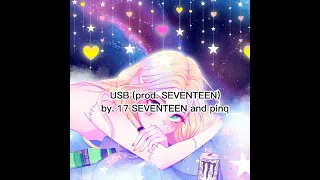 17 SEVENTEEN feat. pinq - USB lyrics | Tishikun