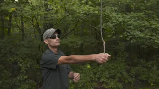 How to Cut Down a Tree - The Home Depot, This Old House