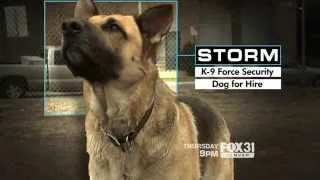 Would you hire a K9 detective to determine if your kids were doing drugs?