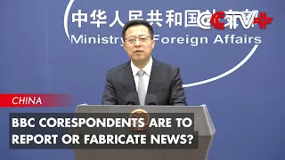 BBC Corespondents Are to Report or Fabricate News? FM Spokesman