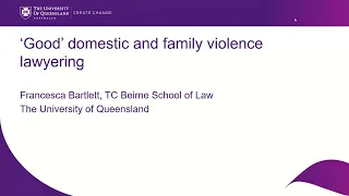 What is 'Good Domestic Violence Lawyering'?
