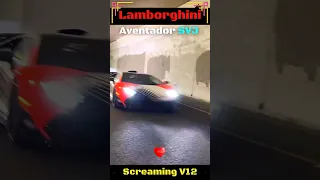 Lamborghini Aventador SVJ Screaming V12 😈 #lamborghini
