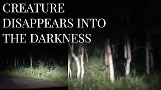 AMAZING BIGFOOT FOOTAGE - Strange Creature Filmed lurking in the treeline - MBM 92