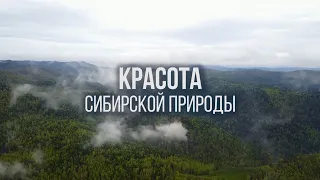 Красота сибирской природы