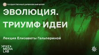 Онлайн-лекция Елизаветы Гальпериной "Эволюция. Триумф идеи" | Дарвиновский музей