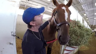 GoPro: At the Stables with Horse Trainer Pete Eurton