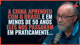 O CULPADO pela FALTA de DESENVOLVIMENTO do BRASIL