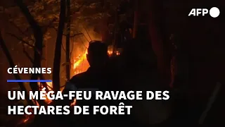 Dans le Gard, un feu ravage des centaines d'hectares de forêt | AFP