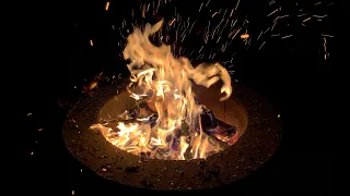 Backyard Fire Pit - 10 Hours in Real Time (No Loops)