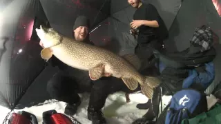 Northern Alberta Trophy Pike - 27.3Lb - 45"