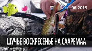 Рыбалка на Сааремаа. Июнь 2019г. Щучье Воскресенье! Saaremaa Fishing