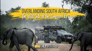 Overlanding South Africa | The Wild Side of the Limpopo | Ep.2