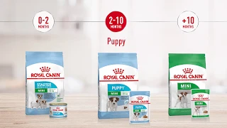 Royal Canin | Size Health Nutrition | Mini