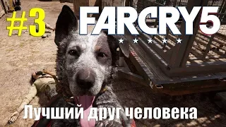 Прохождение Far Cry 5 Серия 3 (Лучший друг человека)