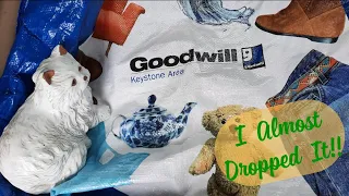 I Almost Dropped It!! - Shop Along with Me - Goodwill Thrift Store