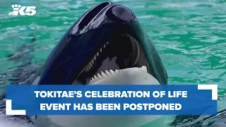 Tokitae celebration of life postponed