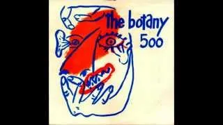 The Botany 500 - Bully Beef